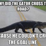 Gators Suck